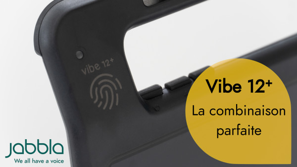 VIBE 12+ - visuel 4