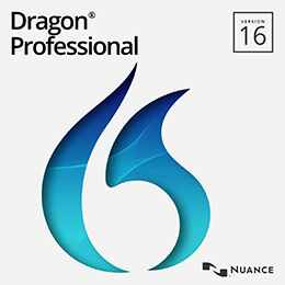 Dragon Professional individual V16